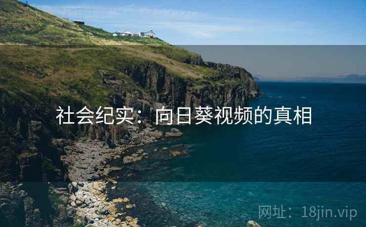 社会纪实：向日葵视频的真相