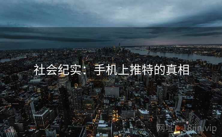 社会纪实：手机上推特的真相