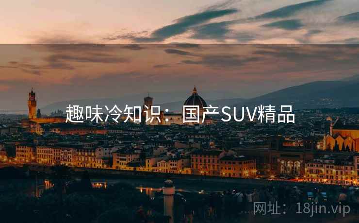 趣味冷知识：国产SUV精品