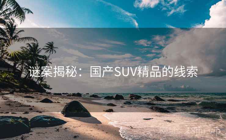 谜案揭秘：国产SUV精品的线索
